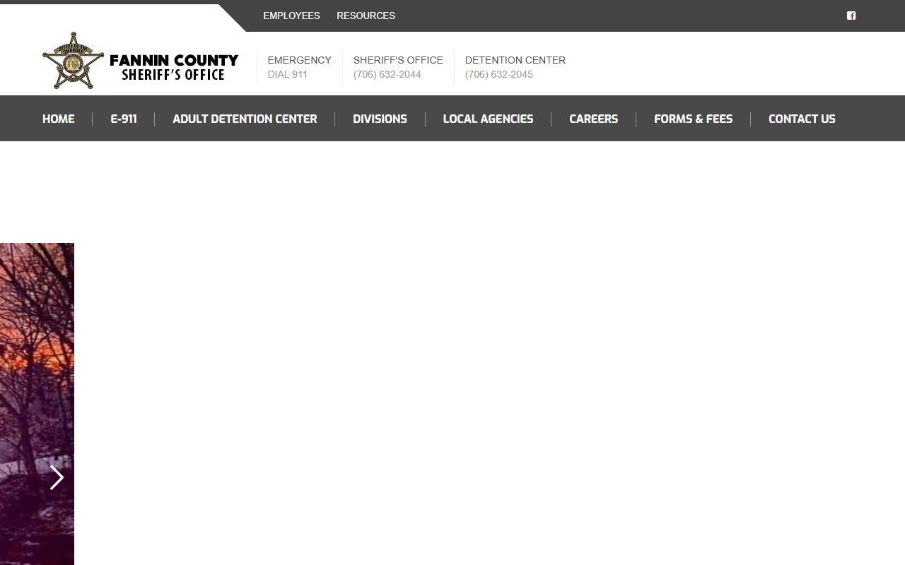 Fannin County Sheriff's Office website